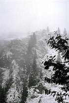 Dicht ist das Schneetreiben