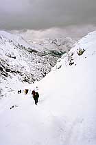 Abstieg in das Höhenbachtal