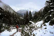 Abstieg in das H�henbachtal