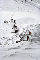 Durch den Neuschnee in das Lochbachtal