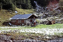 Kurze Rast