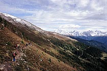 Höhenweg zu Larcheralm