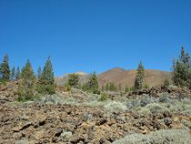 Montana de las Arenas