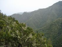 Bei Regen durch das Teno Gebirge