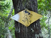 Schild
