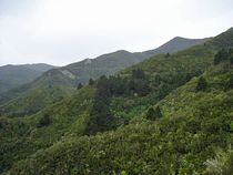 Bei Regen durch das Teno Gebirge