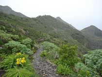 Bei Regen durch das Teno Gebirge