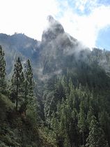 Felsen Los Organos