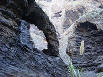 Felsen