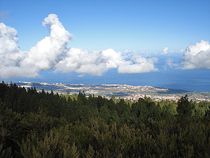 Puerto de la Cruz