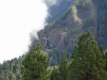 Felsen Los Organos
